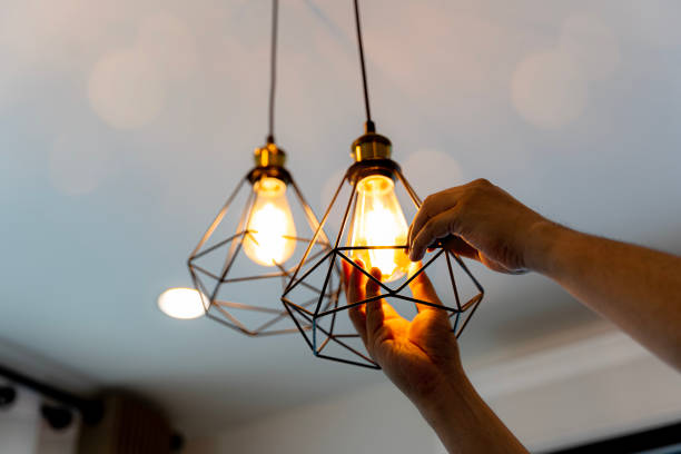 Best Local Electrician Companies  in Hoback, WY